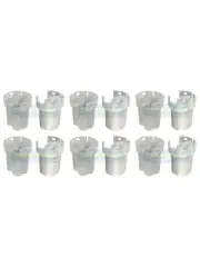 6 x Transgold Fuel Filter fits Toyota Echo 1.5 NCP13 (for: Toyota)