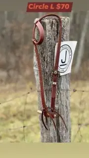 Circle L One Ear Headstall