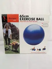 Danskin Now 65 cm Exercise Ball Easy Inflate Air Pump Included New in Box