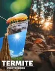 Termite Photo Book: Explore The Fascinating World Of Termites Through 40 Stunnin