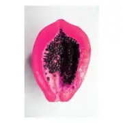 PINK PAPAYA SUGAR Fragrance Oil for making Candles, Soaps, Wax Melts etc.