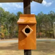 Screech Owl Nest Box