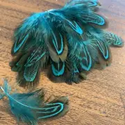 20pcs Natural Almond Blue Pheasant Feathers DIY Art Craft Millinery Jewellery