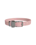 frank green Pet Collar - Large - Blushed