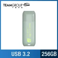 在飛比找momo購物網優惠-【Team 十銓】C175 256GB ECO淨零碟 USB