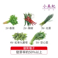 在飛比找momo購物網優惠-【小美紀】高優質 種子(香菜 北蔥 紅骨九層塔 菜苗 土壤種