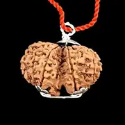 [Vishaka Arts] Natural Gaurishankar Rudraksha from Nepal in Silver Pendant Shiv Parvati 37mm-39mm IGL Certified 100% Original and Geniune Bead