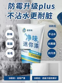 在飛比找Yahoo!奇摩拍賣優惠-塗料碧麗珠凈味補墻漆修補墻面膏內墻面修復防水防霉涂料白墻去污