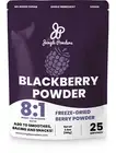 Blackberry Powder 3.5 Ounce Bag Freeze Dried Blackberries Fruit Additive Free Un