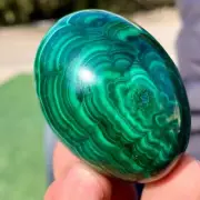 169G Natural glossy Malachite egg transparent cluster crystal mineral sample