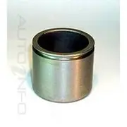 Protex Caliper Piston - LD99980