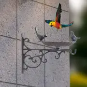 Wall Mounted Bird Bath Bird Food Basin for Back Outside Hanging Baskets Deck