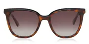 Fossil FOS 3103/G/S 086/LA Men's Sunglasses Tortoiseshell Size 52
