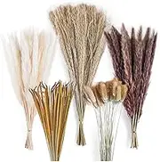 120Pcs Dried Pampas Grass Bouquet Decor, Room Wedding Arrangements,Fall Dry Flowers Bundles Bulk Tall