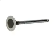 Exhaust valve FRECCIA R4781/RCR for FIAT BRAVO I (182_) 1.6 1995-2001