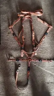 Custom Biothane Tack Set - Headstall & Breast collar