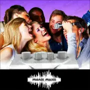 Karaoke Mixer Echo Effects MIC Microphone Pre-amplifier for Home Theater System