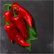 Capsicum - Marconi Red seeds