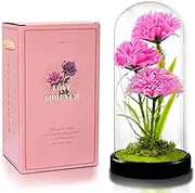 QUELIEN Mothers Day Carnation Flowers Gifts for Mom,Pink Artificial Carnation in Glass Dome with Led Light for Mother's Day,Birthday,Christmas (Pink)