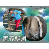 在飛比找蝦皮購物優惠-FB粉絲團《家義鮮蚵》帶殼鮮蚵60（溯源水產自產自銷、當天現