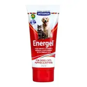 Vetsense Energel 200g Vitamin & Mineral Supplement - Cats Dogs Puppies & Kittens