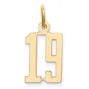 14K Yellow Gold Small Elongated Number 19 Charm