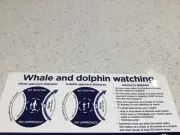 BOATING STICKER FOR BOATS , WHALE DOLPHIN YANMAR HONDA DIESEL ENGINE MERCURY