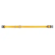 Prestige Pet 3/8 Inch Adjustable Nylon Puppy Collar Gold 23-36cm