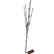 GGP 10 Sets Of Led Light Bunch Stem Warm White Battery Fairy Lights 50Cm High 20 Bulbs/Petals