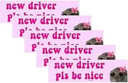 Nice Driver Car Sticker, New Driver Pls Be Nice Sticker, New Driver Sticker for Car, Waterproof Self Adhesive Learner Driver Sticker Gift