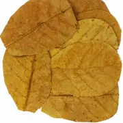 Ceylon Naturally Dried Terminalia catappa Kottamba/Indian almond Leaves 100g