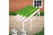 36 Sites Hydroponic Grow Tool Kits Vegetable Garden System 220V Water Pump