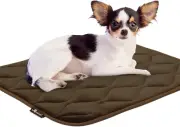 Washable Padded Crate Mats for Dogs | 23" X 17" Pad, Fits 24-Inch Kennels | Leak