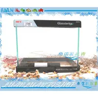 在飛比找蝦皮購物優惠-【魚店亂亂賣】日本GEX五味SLIM 300高透光1尺開放玻