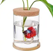 Mini Aquarium Fish Tank Clear Transparent Hydroponic Plant Terrarium
