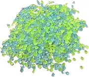 Leefasy 3-5mm Glow in A Dark Pebbles Sand DIY Craft Materials Decorative Accessory Multipurpose Blue Green Mixed for Plant Pots Decor