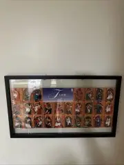Floating Framed 1995 flair hardwood leader commemorative sheet