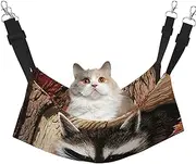 EdWal Raccoon in The Fall Tree Hole print Soft Sleeping Hammock Cat Hammock for Cage Hanging,Pet Hammock Bed Adjustable for Small Animals