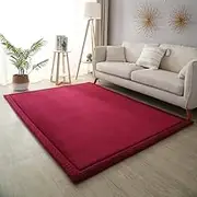 Coral Velvet Rug for Bedroom Dormitory Yoga,Home Decor for Living Room,Educational Classroom Nursery Bedroom Crawling Mat Non-Slip Rug2cm-G- 180 * 200cm