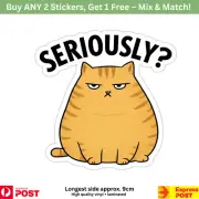 Vinyl sticker decal Seriously cat funny Waterproof scrapbook car