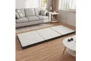 Advwin Foldable Foam Mattress Trifold Folding Portable Floor Pad Sofa Bed