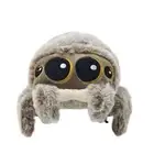 spider plushie for kids 20cm baby jumping spider brown new