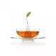 Tea Forte 精緻玻璃茶杯 + 印花茶碟 SONTU TEA CUP ＆ SAUCER