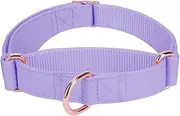 Soft Leather Martingale Dog Collar - Adjustable Rose Gold Limited Slip Collars [Easy to Clean], Stylish Durable Heavy Duty Nylon No Pull Training Collar for Small Medium Large Dogs M Purple