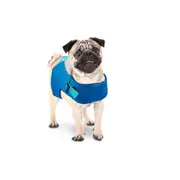 Afp Chill Out Dog Lifejacket