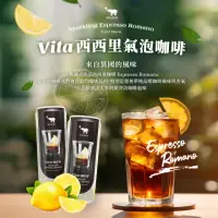 在飛比找momo購物網優惠-【Vita Cafe】西西里風味檸檬氣泡咖啡330ml/罐x