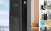 Cool Mist and Warm Humidifier Large Room, 5.3Gal/20L Whole House Humidifiers