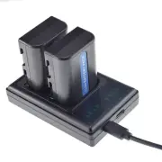2x NP-FM50 Battery +Dual Charger for Sony Cyber-shot DSC-F707,F717,F828, DSC-S50