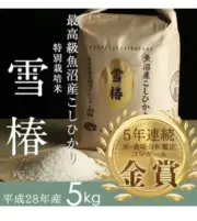 Uonuma Koshihikari YUKI TSUBAKI Best Japanese White Rice [5kg] Gohan Kome