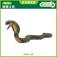 在飛比找Yahoo!奇摩拍賣優惠-^.^飛行屋(全新品)英國品牌-COLLECTA-仿真動物模